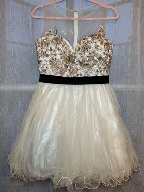 Cinderella Ivory Tulle Party Dress with Black Waistband and Gold Embellishments